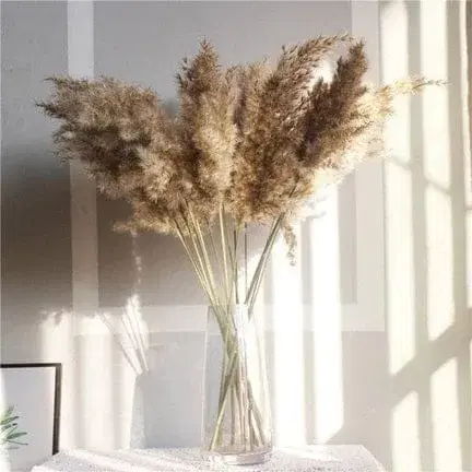 Naturally Dried Pampas Stems (Brown) - Set Of 10 size 3 ft