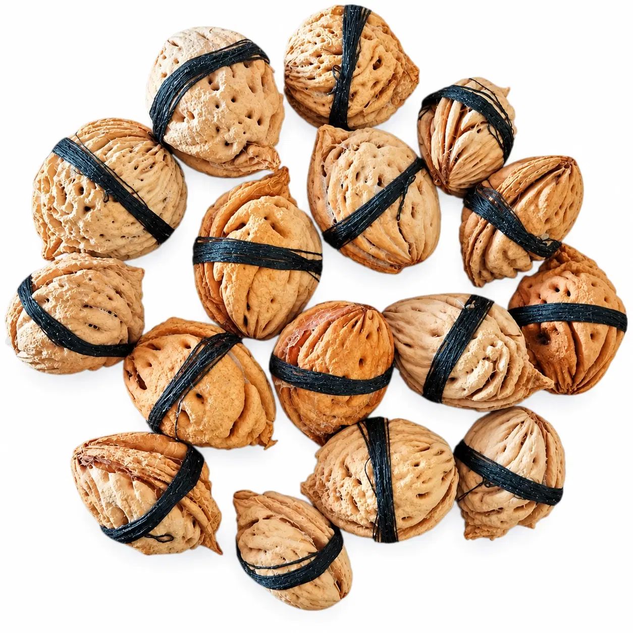 Top view of assorted natural dried seed pods bundled with black ties on a white background