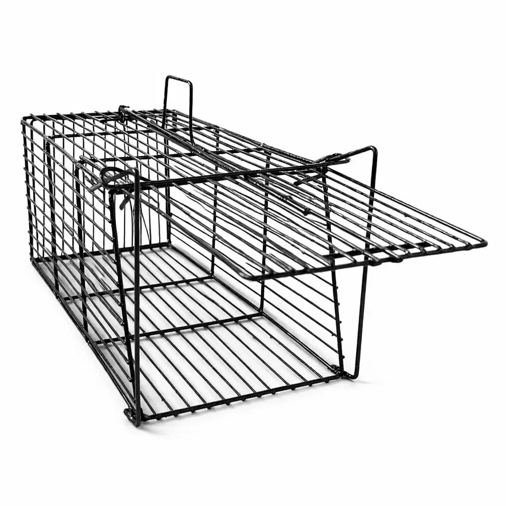Springless Iron Rat Trap Cage, Live Catch, 35 cm, 1 Qty