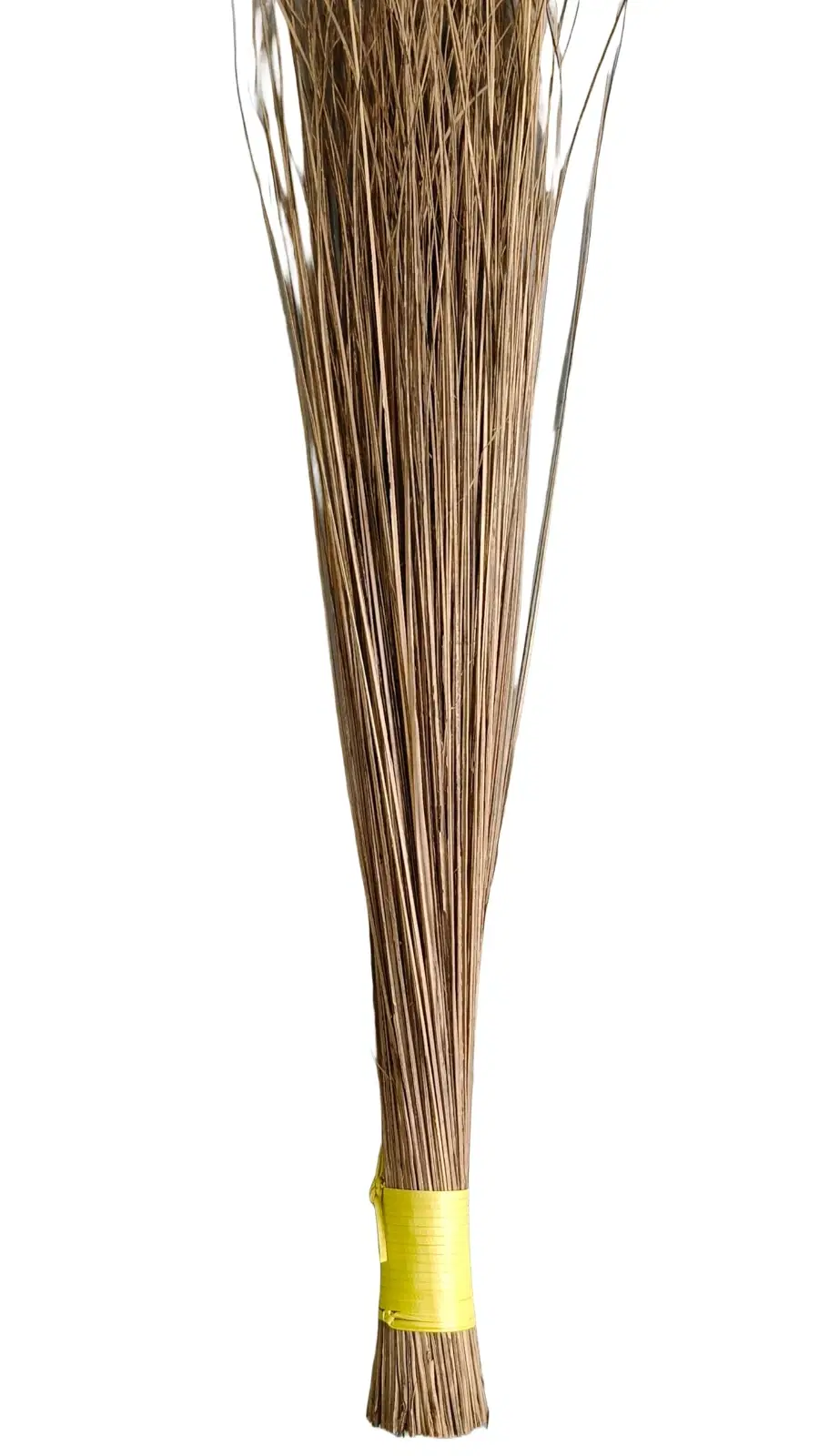 iINTELLIGENCEi Coconut Broom Stick, Eerkkil, Long, Above 80 cm, 1 Qty
