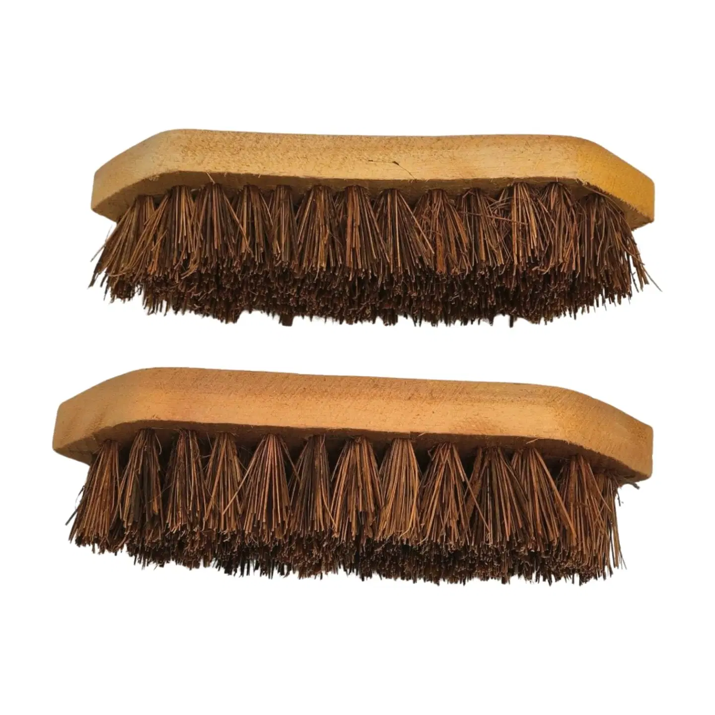 iINTELLIGENCEi Palmyrah Brush, 22x6x5 cm, 2 Qty
