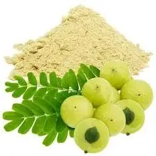 Divine Ethnics Amla Hair Mask Powder