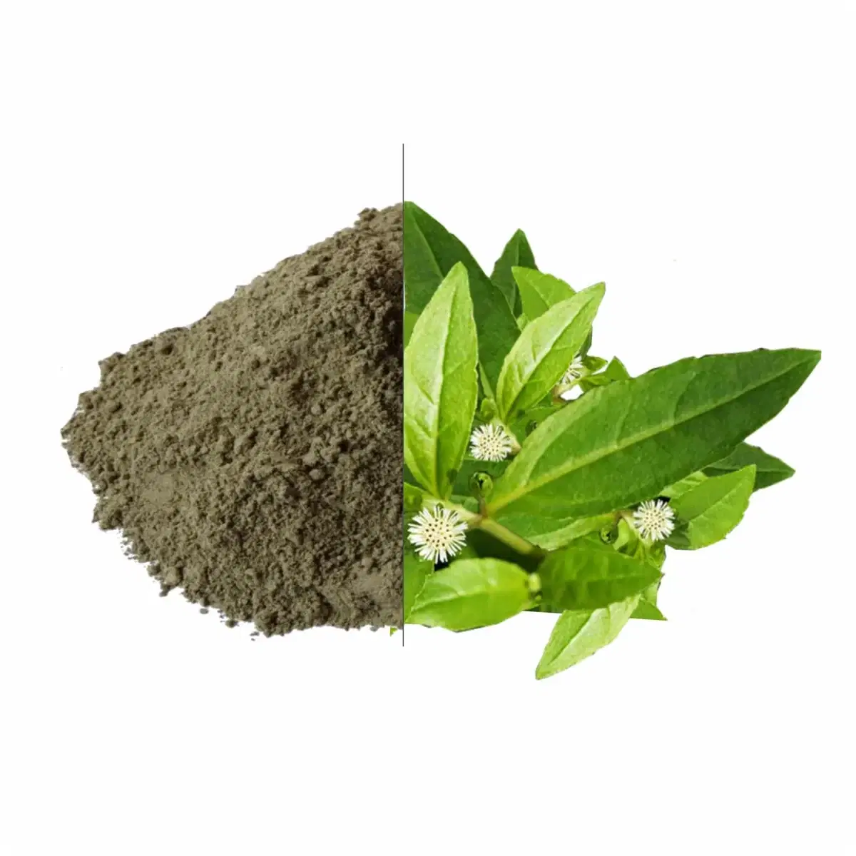 Divine Ethnics Bhringraj Hair Mask Powder