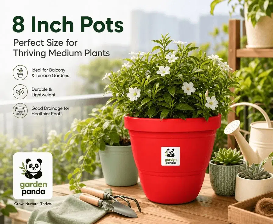Garden Panda 8 Inch Plant Pot for Medium Plants